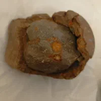 سنگ کلکسیونی|کلکسیون اشیاء عتیقه|تهران, حر|دیوار