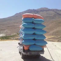 خریدار کاه جو و گندم