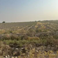 یه-قطعه-زمین-مناسب-باغ-و-کارگاه-سر-بزرگراه