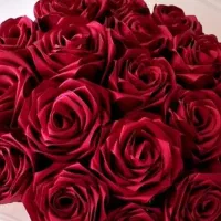گل های روبانی