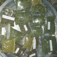 سبزی کوهی اویشن پونه نعنا گزره