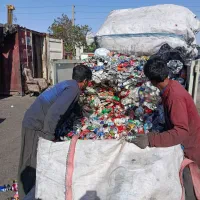 رانی و سبد و کارتن موز