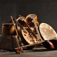 اموزش موسیقی(تار و سه تار)