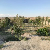 فروش-زمین-در-رباط-کریم-وهن-اباد-حکیم-اباد