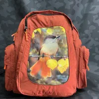 کوله پشتی کیف