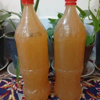 ابغوره