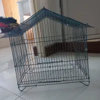 قفس پرنده