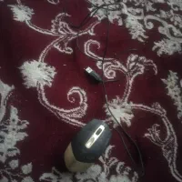 موس کامپیوتر