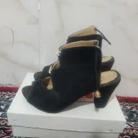 کفش مجلسی