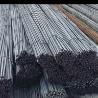 نیازمند سرمایه گذار