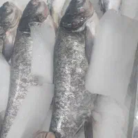 هایپر آنلاین
