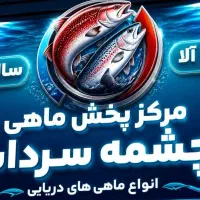استخدام صندوقدار دار برای فروشگاه مرغ و ماهی