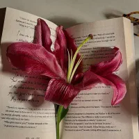ادمین تخصصی و با سابقه هستم