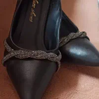 کفش مجلسی