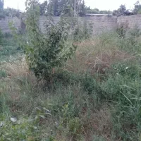 زمین-مسکونی