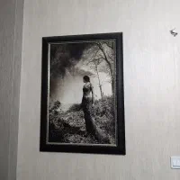 چند عدد تابلو کاملا سالم