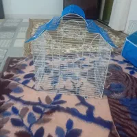 قفس پرنده