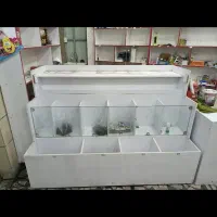 بارکدخوان و پرینتر . دوتا قفسه