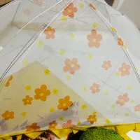 پشه بند