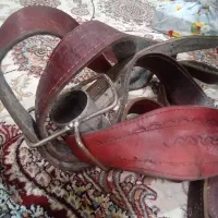 هیکلی|اسب و تجهیزات اسب‌سواری|تهران, نارمک جنوبی|دیوار