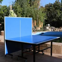 میز پینگ پنگ اقساطی  بخر با قیمت مناسب کد 1113
