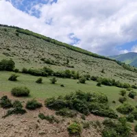 اخذ سندزمین و ویلا،تغییرکاربری ملک