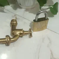 گل پتوس|گل و گیاه طبیعی|قزوین, |دیوار