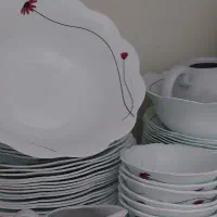 آرکوپال تمیز