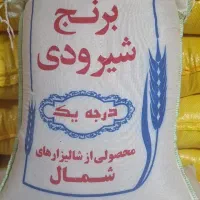 برنج شیرودی درجه 1