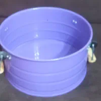 کاسه سطلی