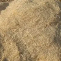 فروش کاه گندم مغان با کمباین کاه کوب
