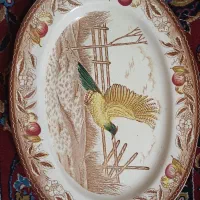 دیس قدیمی