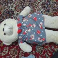 خرسی کاملااسالم.