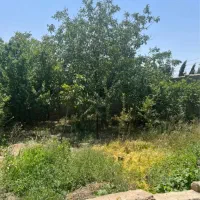 249مترزمین-laquo-سندتکبرگ-چهاردیواری-raquo-سهیلیه-زعفرانیه