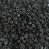 گیلاس خشک درجه۱