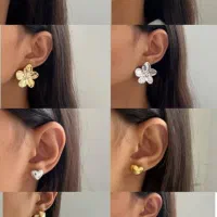 اکسسوری،بدلیجات رنگ ثابت