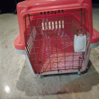 قفس‌‌سگ‌وگربه.‌