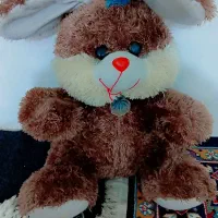 ست عروسک های خرگوشی