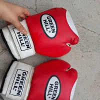 دسکش بوکس