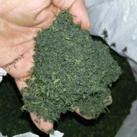 خروس  و شوید خوشک
