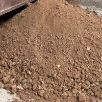 کود گاوی
