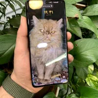 S21 ultra|موبایل|تهران, فردوس|دیوار