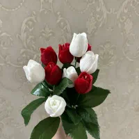 گیفت|صنایع دستی و سایر لوازم تزئینی|مشهد, شاهد (شهرک غرب)|دیوار