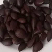 فروش بادام شور شده اماده کیلو350