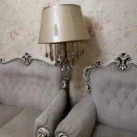 آباژور ایستاده