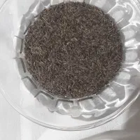 زیره سیاه کوهی