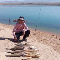 نخ دستی .محکم .سرب ماهیگیری