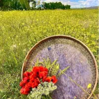 اجرای دف نوازی  وبال فرشته در مراسم شاد