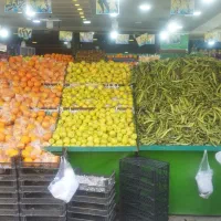 پالت میوه فروشی ب قیمت فروش فوری