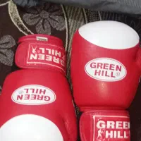 دست کش بوکس